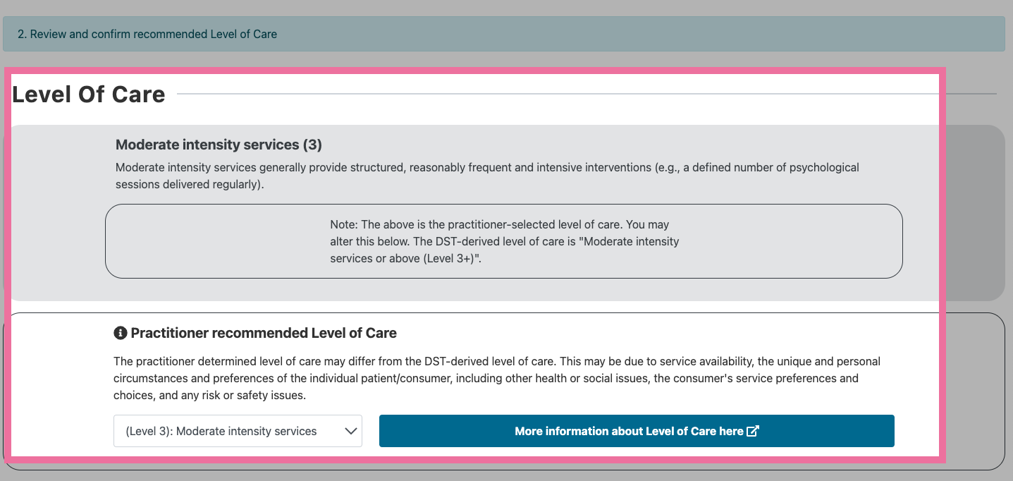 Example of level of care section