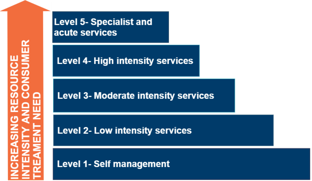 Schematic representation of levels of care